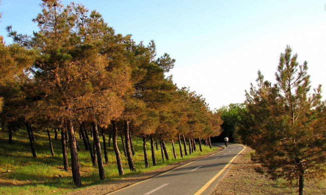 گردشگری با دوچرخه