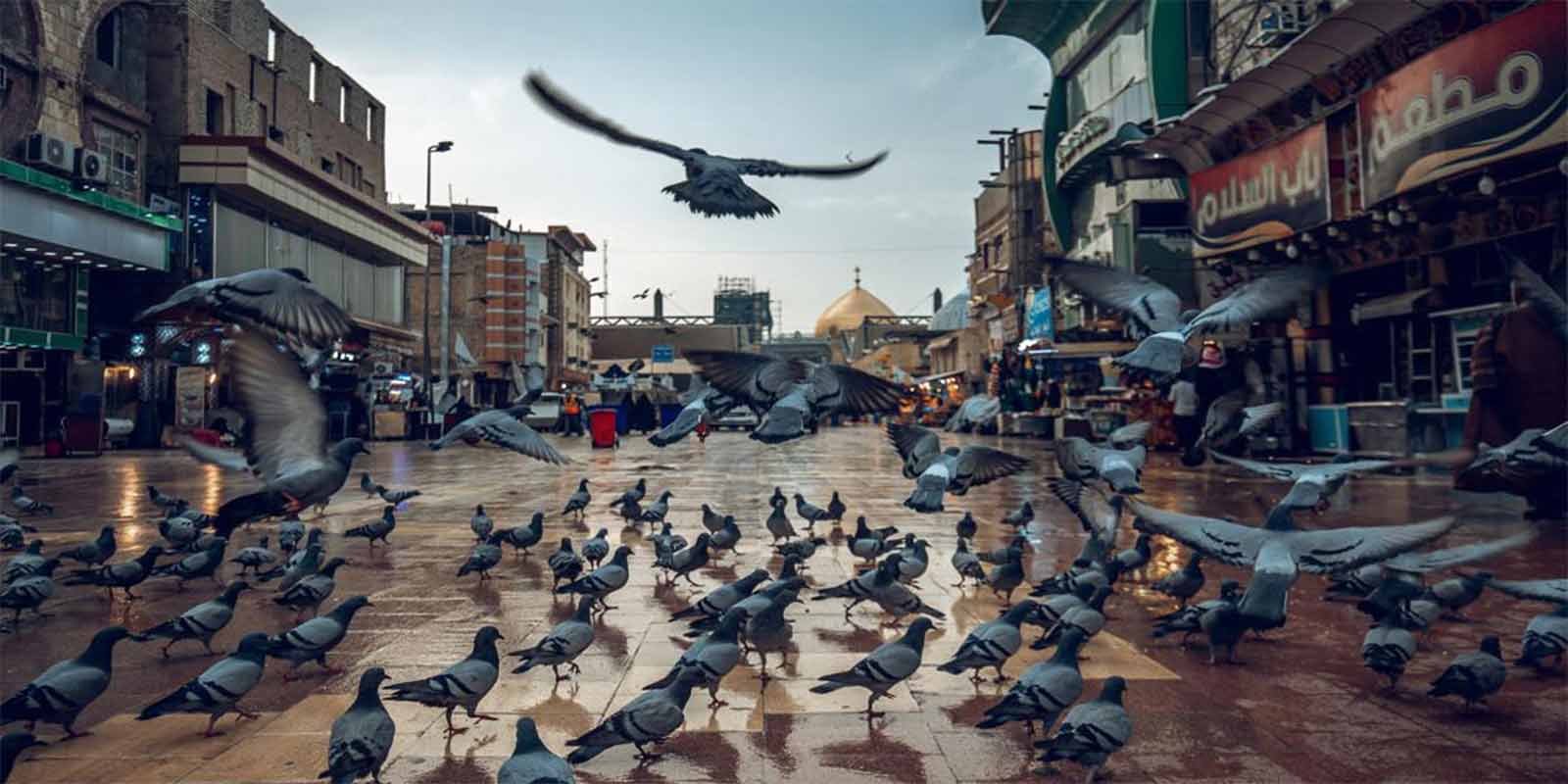 الأماكن السياحية في النجف