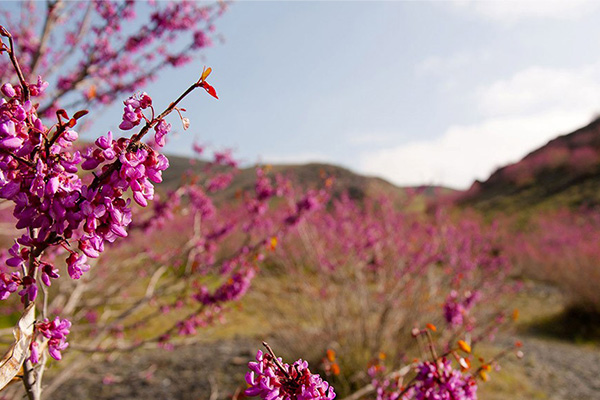 جاهای دیدنی اطراف مشهد